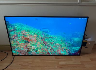53" screen