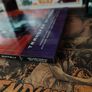 The Authority ! Volume 4 ! Transfer Of Power ! Graphic Novel ! 2002 ! by Wildstorm ! Image 5