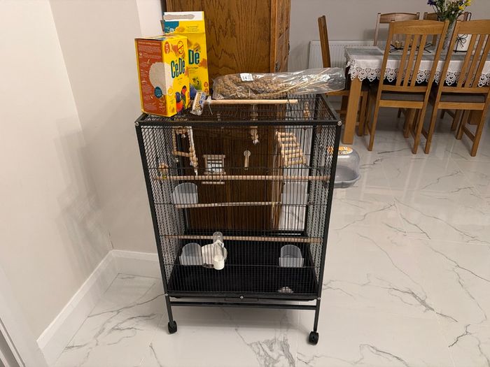 Birds cage