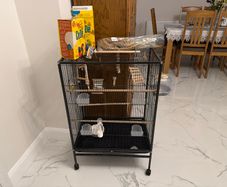 Birds cage