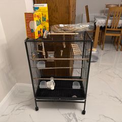Birds cage