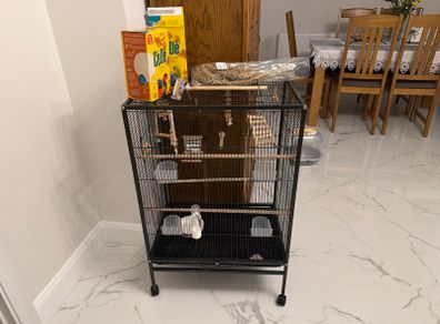 Birds cage