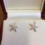 Sterling Silver Earring Image 2