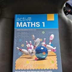 junior cert Maths ( active maths 1)