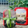 gift box tea Image 2