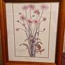 1980's Crepis Rubra framed picture Image 8