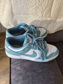 nike dunks