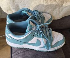 nike dunks