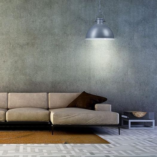 Pendant ceiling Lamp Industrial Design iron