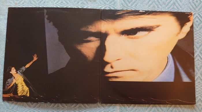 Bryan Ferry - The Bride Stripped Bare - Vinyl