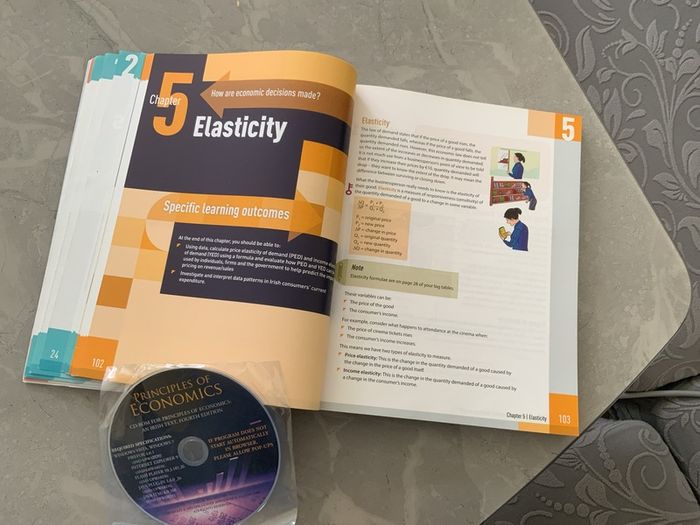 Positive economics leaving cert book
