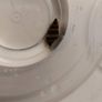 Assassin Snail  Aquarium Snail Control Image 2