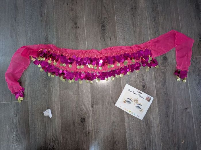 Belly Dancer Hip Scarf and Face Jewels