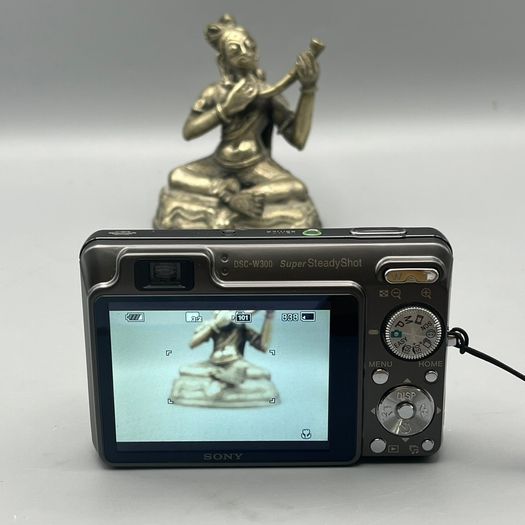 Sony DSC-W300 13.6MP Digital Camera Titanium - Full Kit