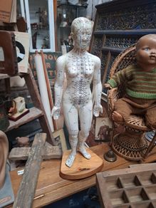 Vintage Anatomical Female Mannequin