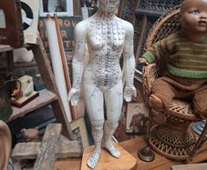 Vintage Anatomical Female Mannequin