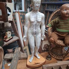 Vintage Anatomical Female Mannequin