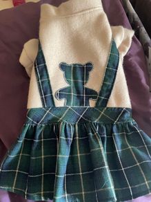 Fab Dog Dress