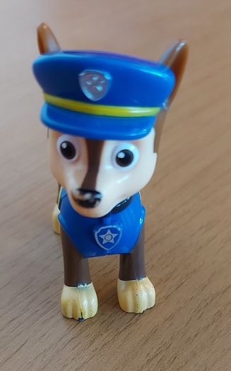 Paw Patrol Case
