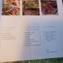 Your Allotment/ Clare Foster Image 5