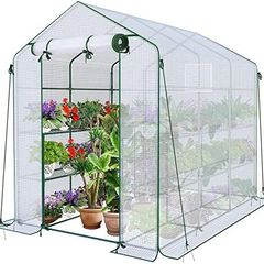 Walk In Greenhouse with Shelves,