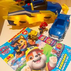 Paw Patrol Job Lot Bundle