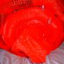 swiming seat Image 5