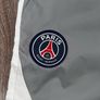 Jordan Paris Saint Germain Image 8
