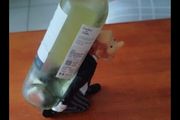 Wine bottle holder