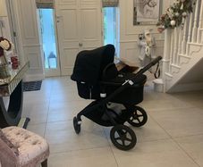 bugaboo Fox