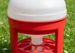 chicken feeder