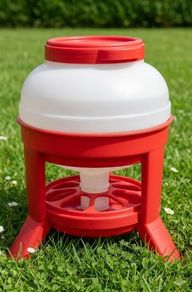 chicken feeder