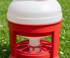 chicken feeder