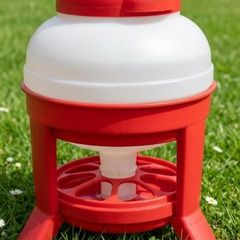 chicken feeder