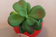 Faux succulent in strawberry vase