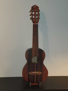 Ortega RGL5EB Guilele + Hard Case