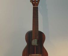 Ortega RGL5EB Guilele + Hard Case