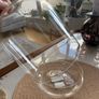Plant pot / glass container Image 2