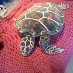 Toy Turtle
