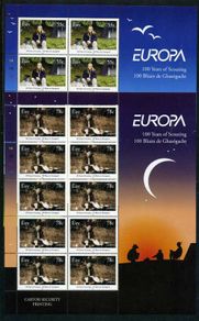 2007 Ireland Europa (Centenary of Scouting) Commemorative Stamp Sheetlets Plate 1A1A1A1A Mint Never Hinged (MNH)
