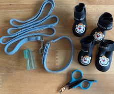 Dog accessories