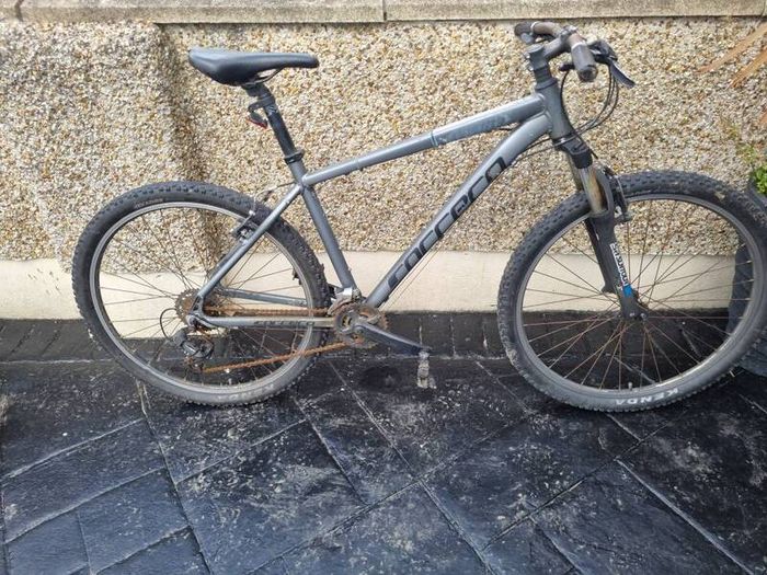 bike carrrera needs fixing