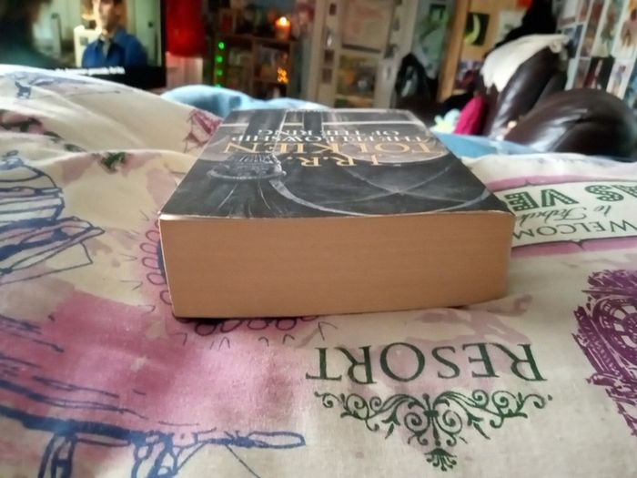 The Fellowship of the Ring with Illustrations