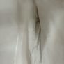 Sandro blazer cream color Image 6