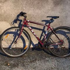 Adult Bike