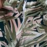 Modest Dress Image 6