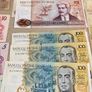Brazil Banknotes Collection Image 6