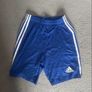 Home Farm Training Jersey and shorts Image 2
