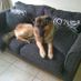 sieger