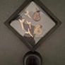 Fossilized prehistoric ammonites / sharks teeth ,With display box. Image 4